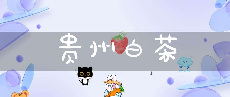 贵州白茶