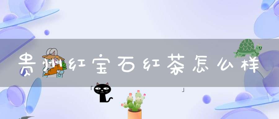 贵州红宝石红茶怎么样