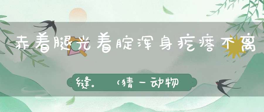 赤着腿，光着腚，浑身疙瘩不离缝。 （猜一动物）