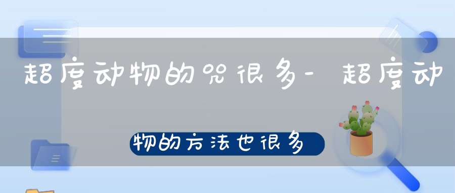 超度动物的咒很多-超度动物的方法也很多-任你选