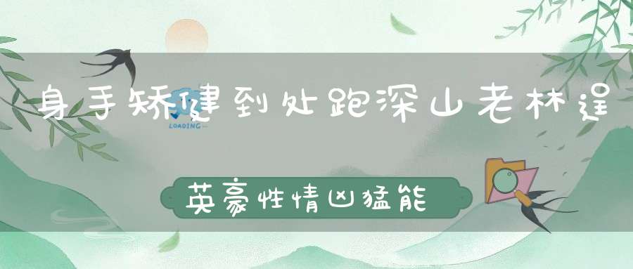 身手矫健到处跑，深山老林逞英豪，性情凶猛能上树，金钱绣满大黄袍。 （猜一动物）