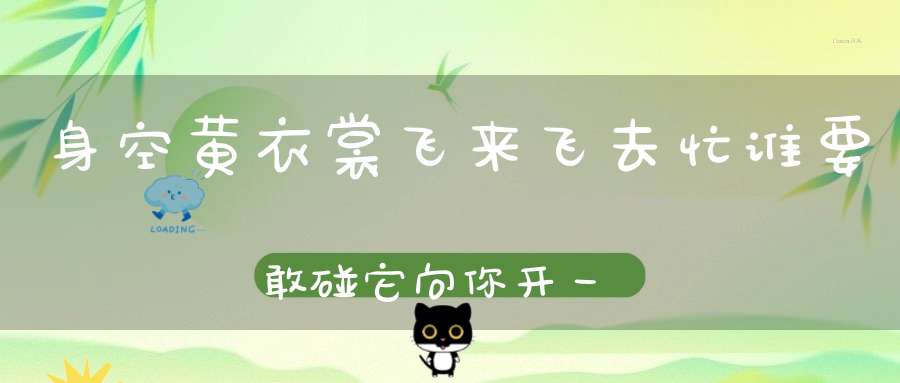 身空黄衣裳，飞来飞去忙，谁要敢碰它，向你开一枪。 （猜一动物）