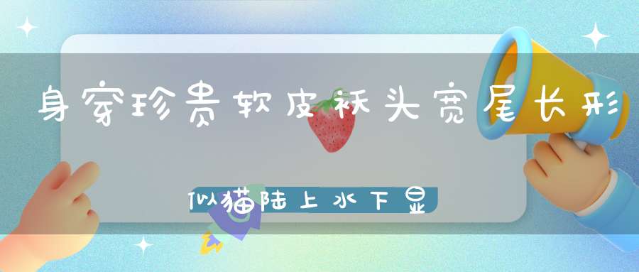 身穿珍贵软皮袄，头宽尾长形似猫，陆上水下显身手，捕食鱼蛙和水鸟。 （猜一动物）
