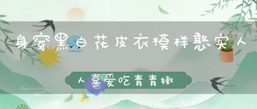 身穿黑白花皮衣，模样憨实人人喜，爱吃青青嫩竹笋，竹鼠视它为大敌。 （猜一动物）