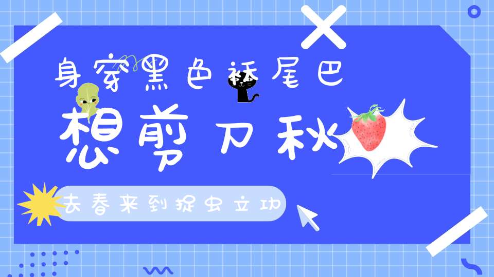 身穿黑色袄，尾巴想剪刀，秋去春来到，捉虫立功劳。 （猜一动物）