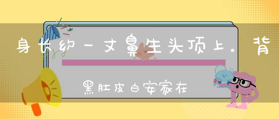 身长约一丈，鼻生头顶上。背黑肚皮白，安家在海洋（打一动物）