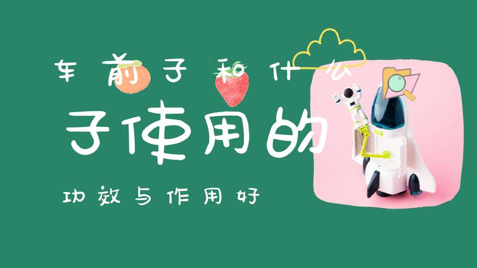 车前子和什么子使用的功效与作用好？