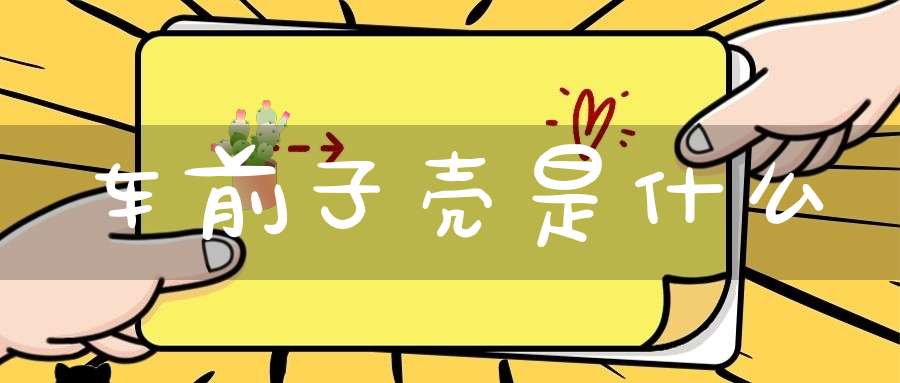 车前子壳是什么？