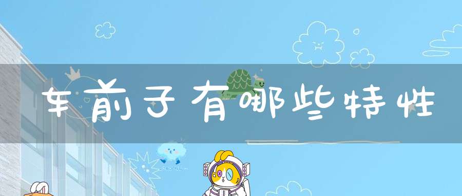 车前子有哪些特性？