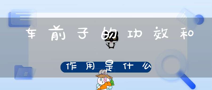 车前子的功效和作用是什么？