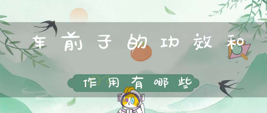 车前子的功效和作用有哪些？