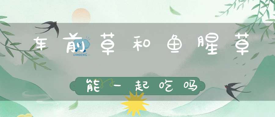 车前草和鱼腥草能一起吃吗？