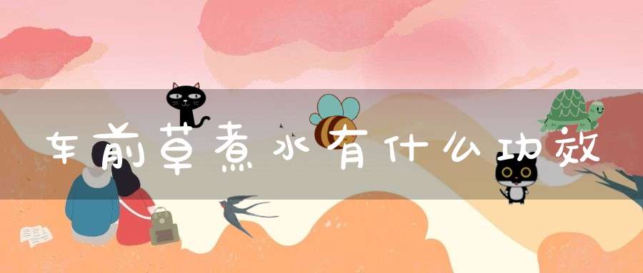 车前草煮水有什么功效？