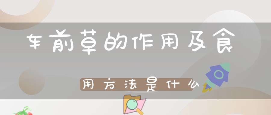 车前草的作用及食用方法是什么？