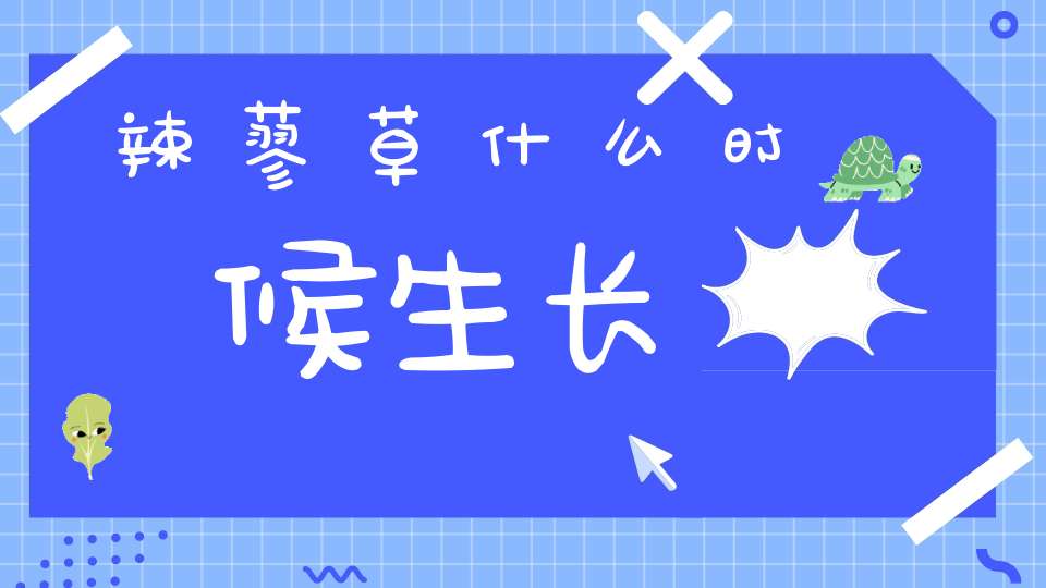 辣蓼草什么时候生长？