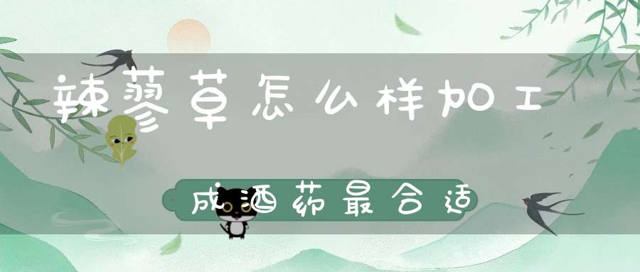 辣蓼草怎么样加工成酒药最合适？