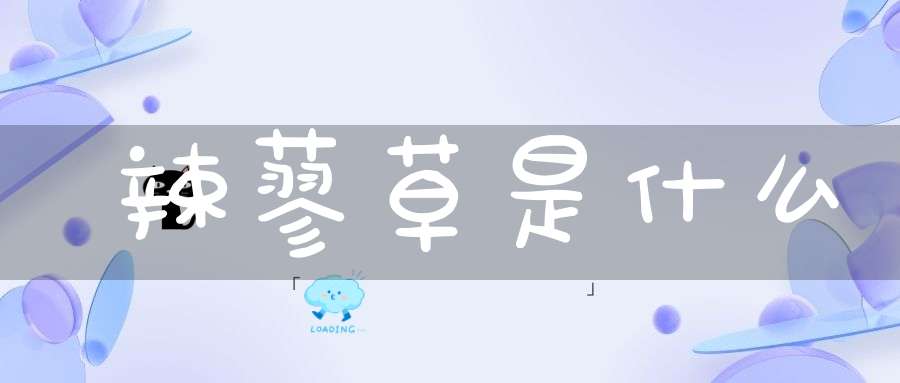 辣蓼草是什么？