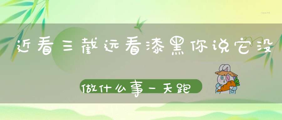 近看三截，远看漆黑，你说它没做什么事，一天跑到黑。 （猜一动物）