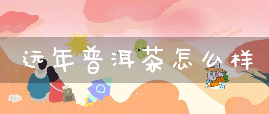 远年普洱茶怎么样