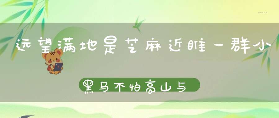 远望满地是芝麻，近睢一群小黑马，不怕高山与陡坡，就怕热锅上面爬。 （猜一动物）