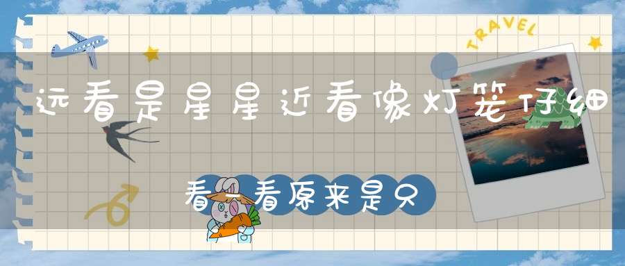远看是星星，近看像灯笼，仔细看一看，原来是只虫。 （猜一动物）