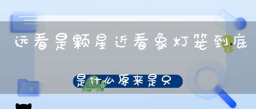 远看是颗星，近看象灯笼， 到底是什么，原来是只虫（打一动物）