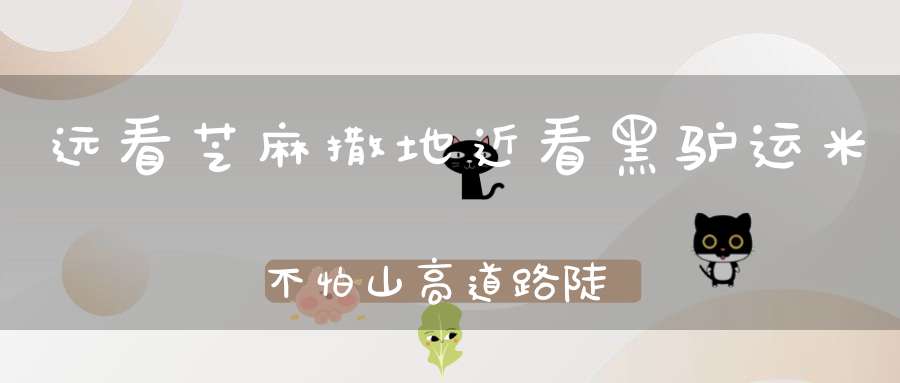 远看芝麻撒地， 近看黑驴运米， 不怕山高道路陡， 只怕跌进热