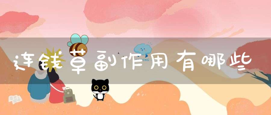 连钱草副作用有哪些？