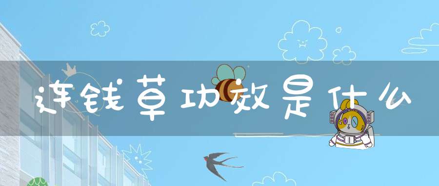 连钱草功效是什么？