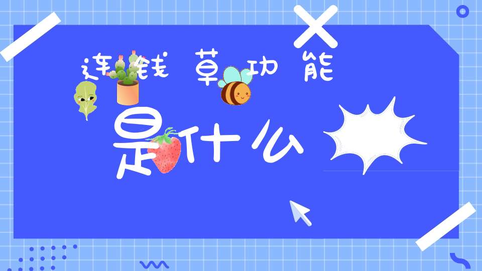 连钱草功能是什么？