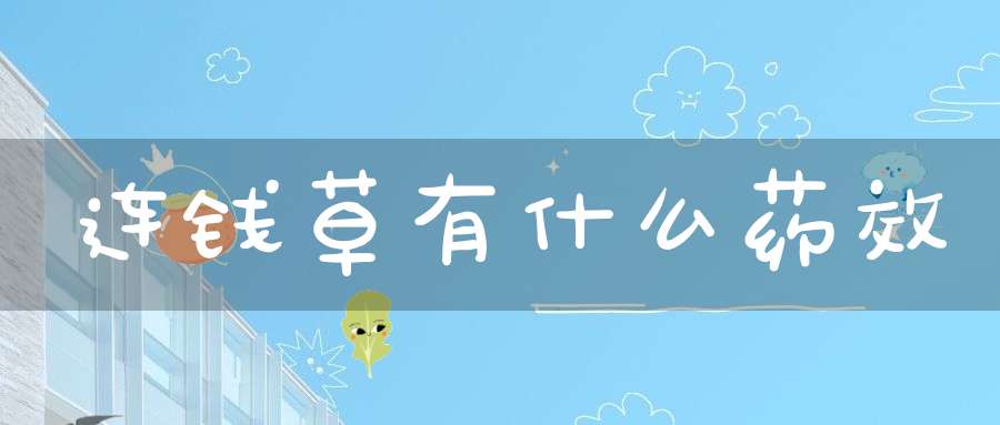 连钱草有什么药效？