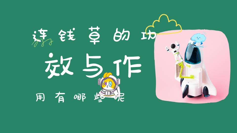 连钱草的功效与作用有哪些呢？