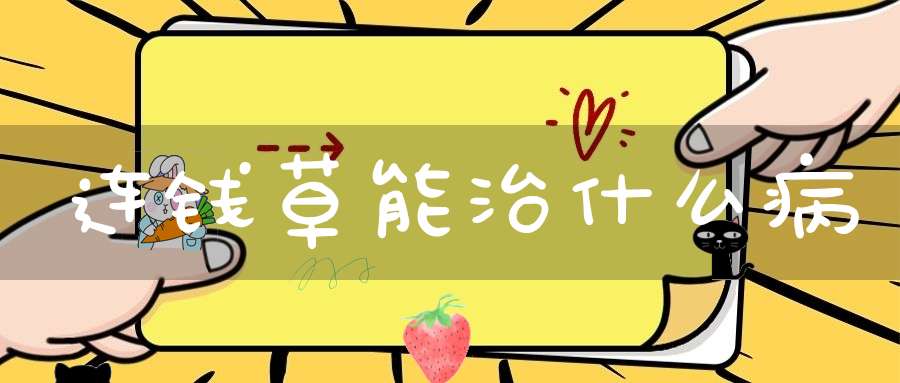 连钱草能治什么病？