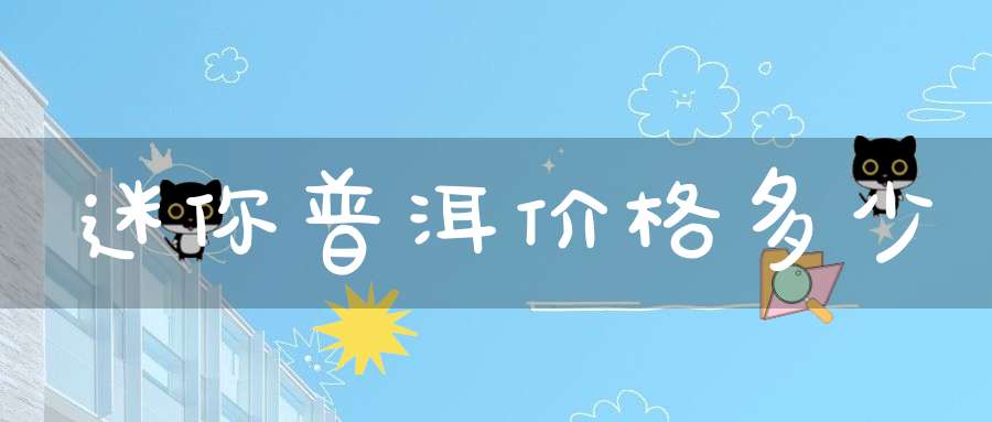 迷你普洱价格多少