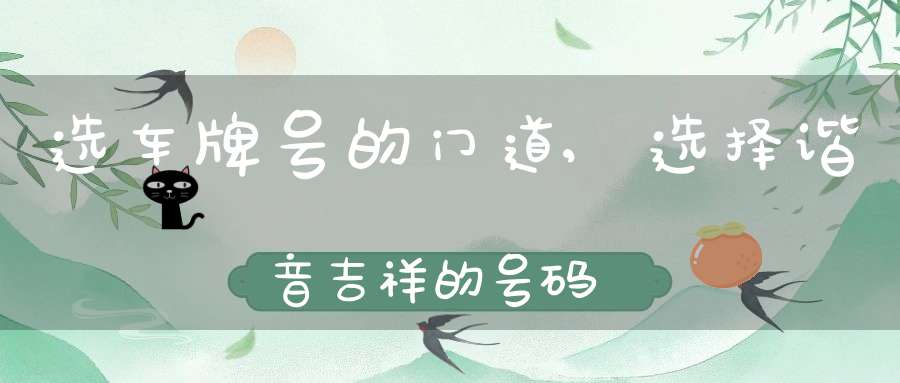 选车牌号的门道,选择谐音吉祥的号码