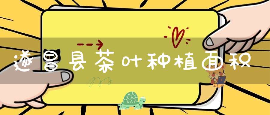 遂昌县茶叶种植面积