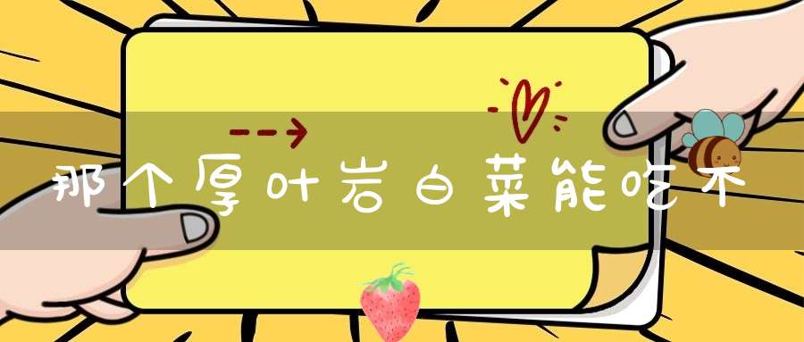 那个厚叶岩白菜能吃不？