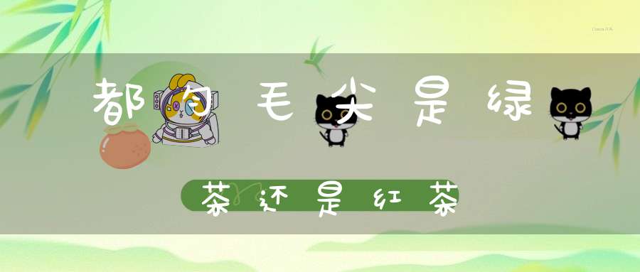 都匀毛尖是绿茶还是红茶