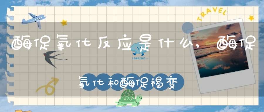 酶促氧化反应是什么,酶促氧化和酶促褐变