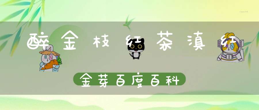 醉金枝红茶滇红金芽百度百科