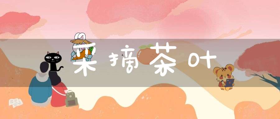 采摘茶叶