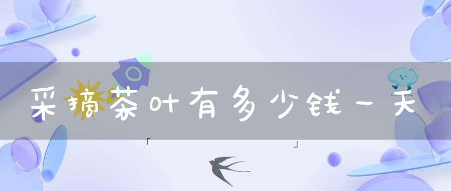 采摘茶叶有多少钱一天