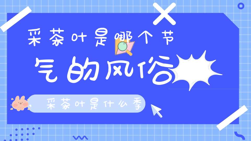 采茶叶是哪个节气的风俗,采茶叶是什么季节
