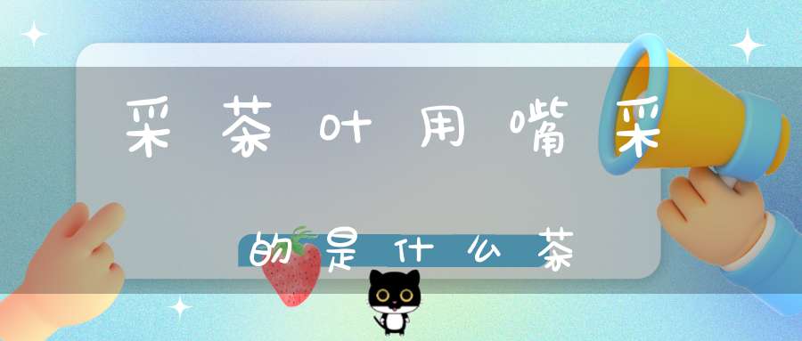 采茶叶用嘴采的是什么茶