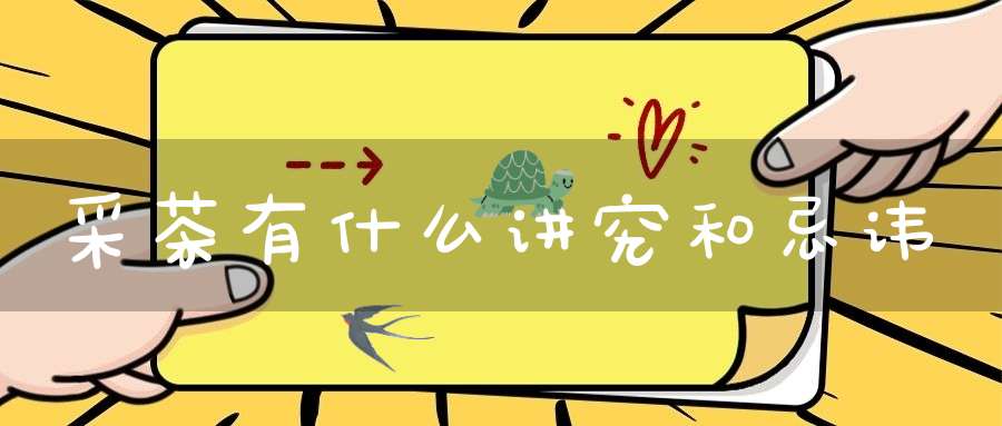 采茶有什么讲究和忌讳