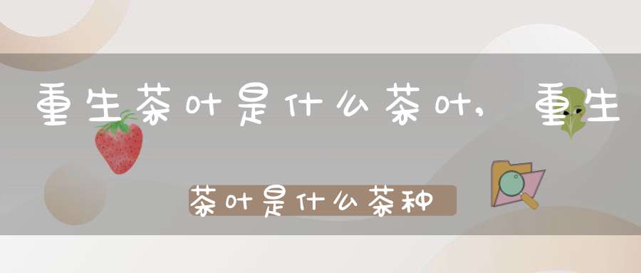 重生茶叶是什么茶叶,重生茶叶是什么茶种