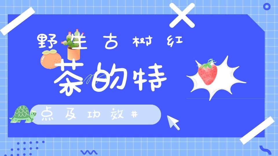 野生古树红茶的特点及功效