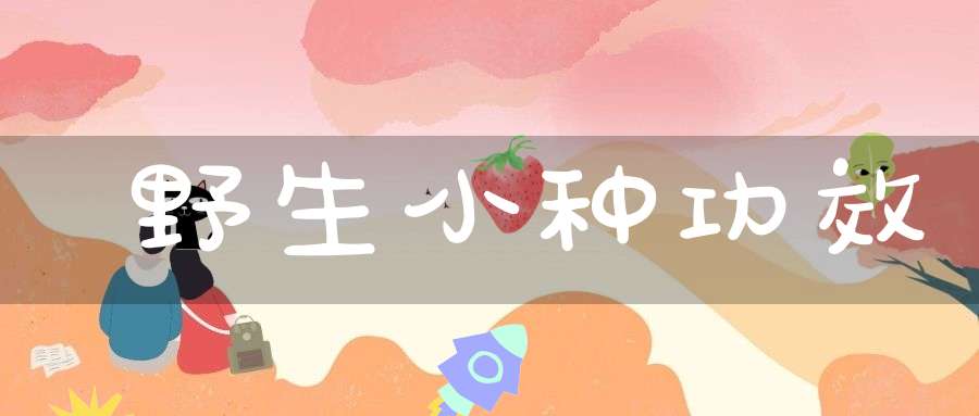野生小种功效