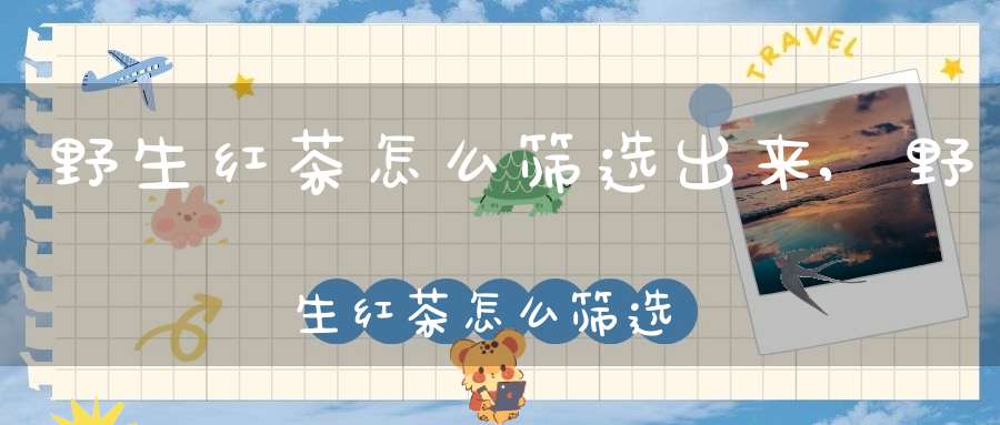 野生红茶怎么筛选出来,野生红茶怎么筛选好的