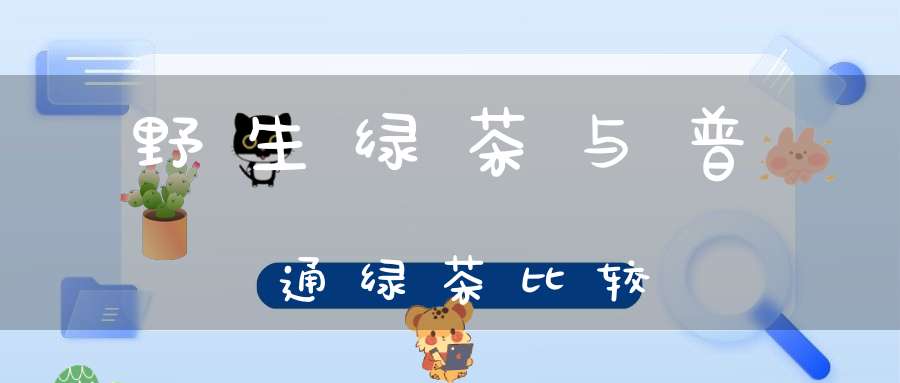 野生绿茶与普通绿茶比较